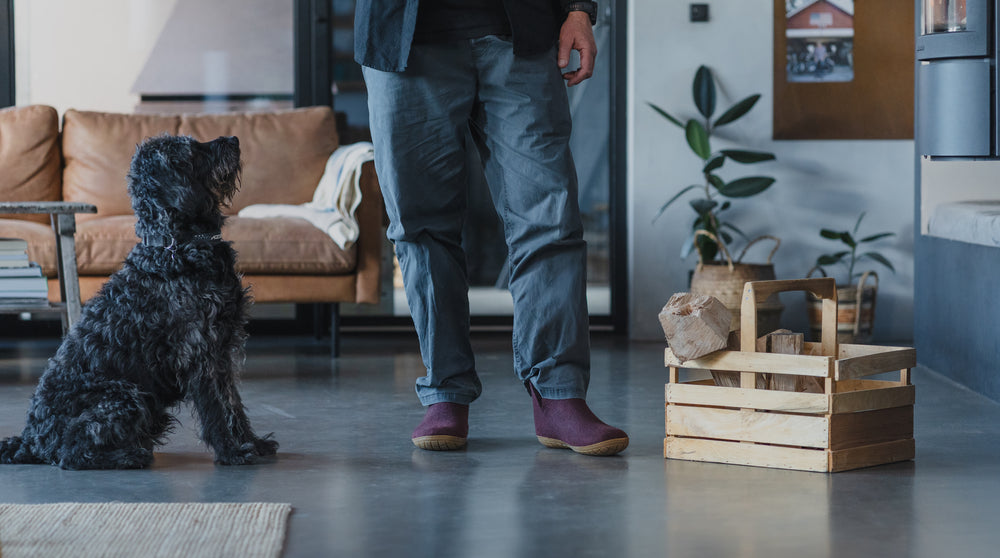 NYHEDER TIL DET NYE ÅR